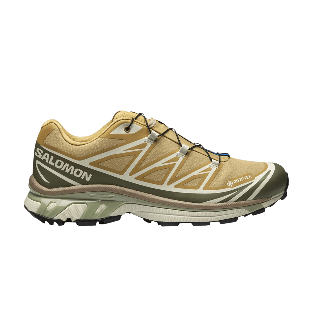XT-6 GORE-TEX 'Antelope Portabella'