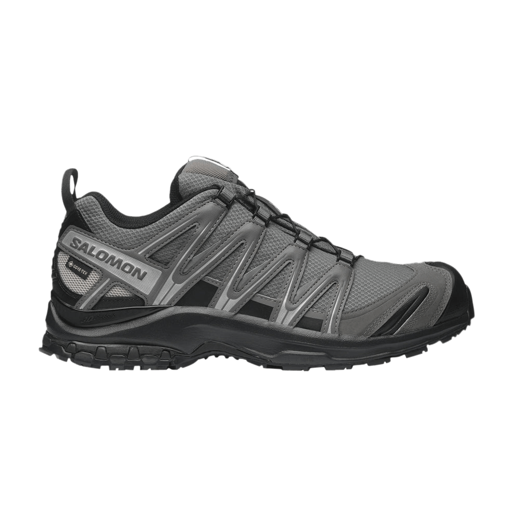 XA Pro 3D GORE-TEX 'Pewter Silver Cloud'