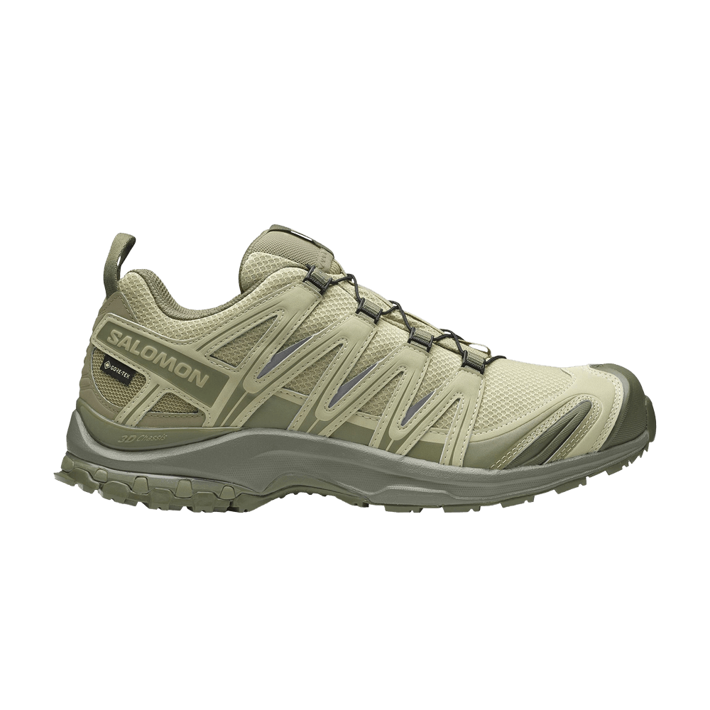 XA Pro 3D GORE-TEX 'Grey Green'
