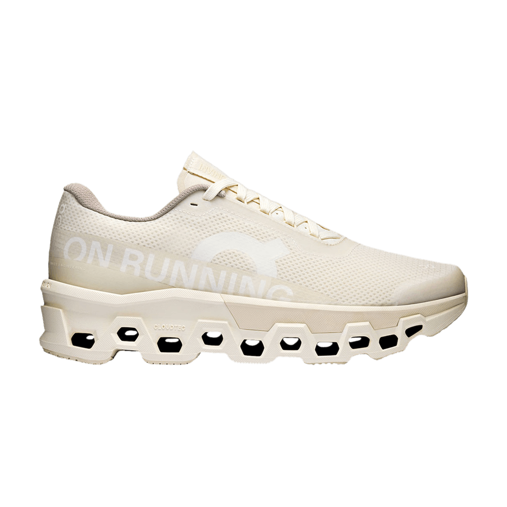 INVINCIBLE x Cloudmonster 2 'Deconstructed Perfection'
